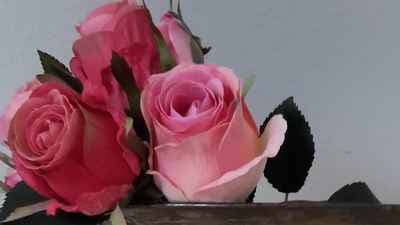 Claras Farb- und Stilberatung